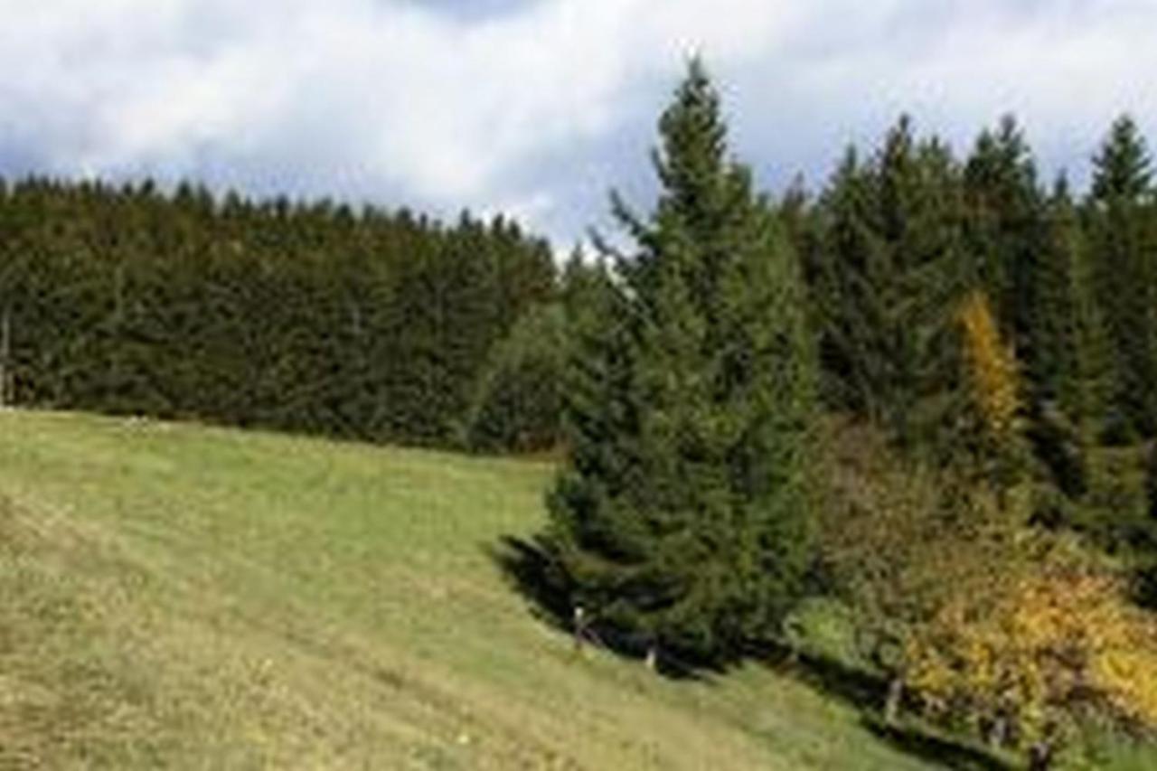 Landgasthof Hauser Immendingen Екстер'єр фото